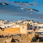 Golden Hour - Abendstimmung in Essaouira