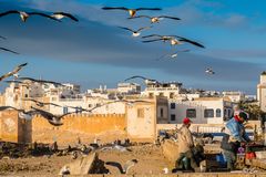 Golden Hour - Abendstimmung in Essaouira