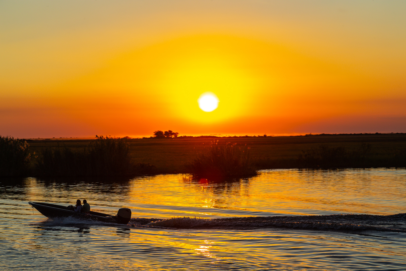 Golden Hour - Chobe NP