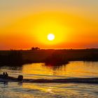 Golden Hour - Chobe NP