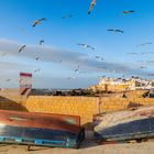 Golden Hour - Essaouira