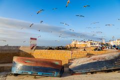 Golden Hour - Essaouira