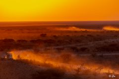 Golden Hour - Okaukuejo Lodge - Namibia