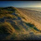 Golden hour on the beach