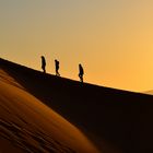 Golden hour, Sahara desert Morocco. 