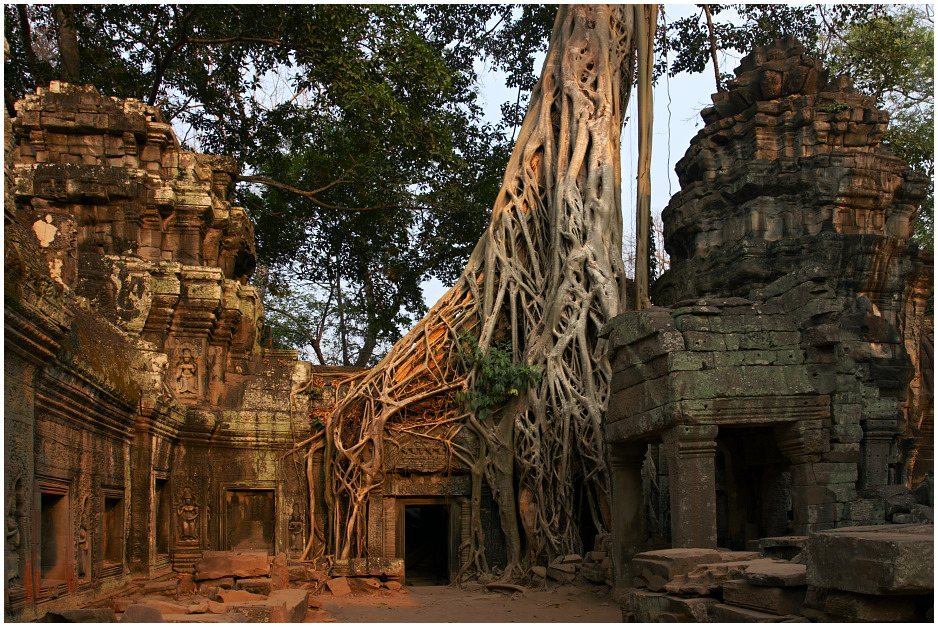 Golden Hour @ Ta Prohm, Cambodia