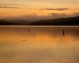 Golden lake Sunrise by Marcie Hixson