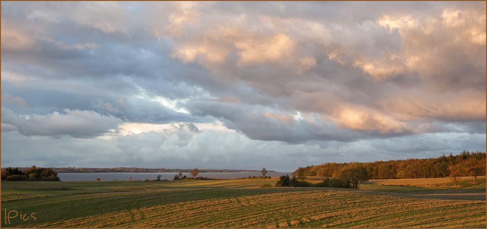 Golden landscape I