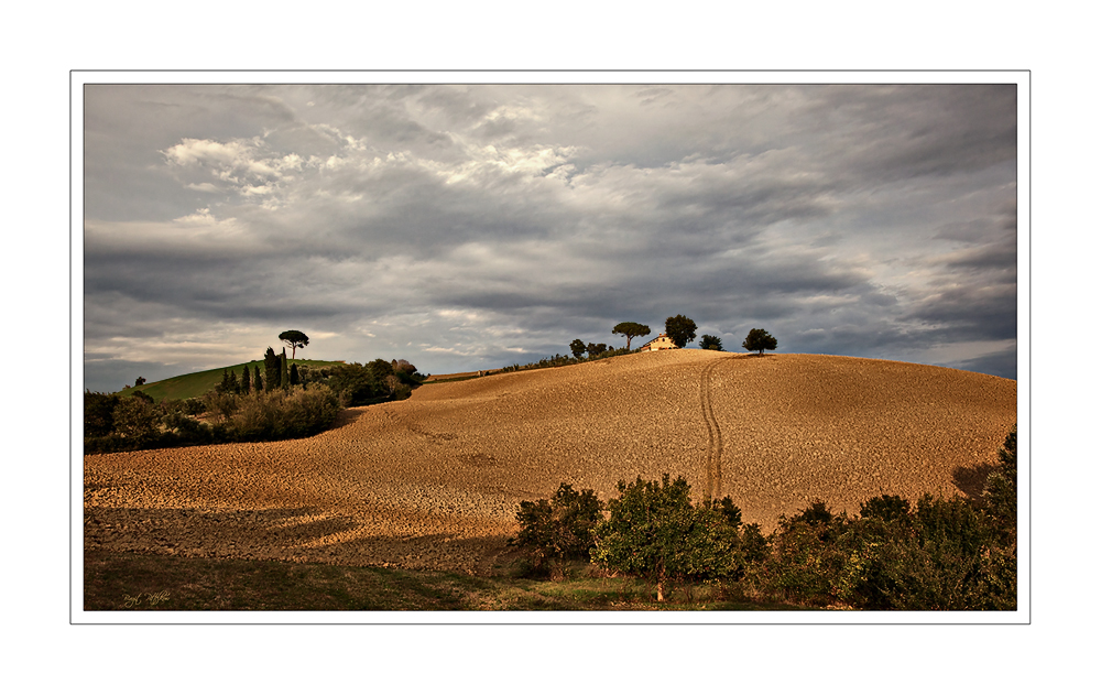 golden light