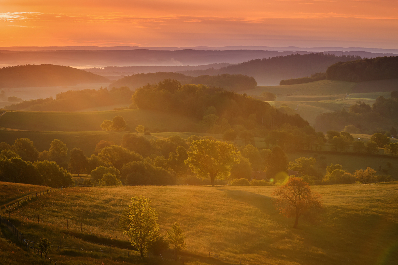 Golden Light