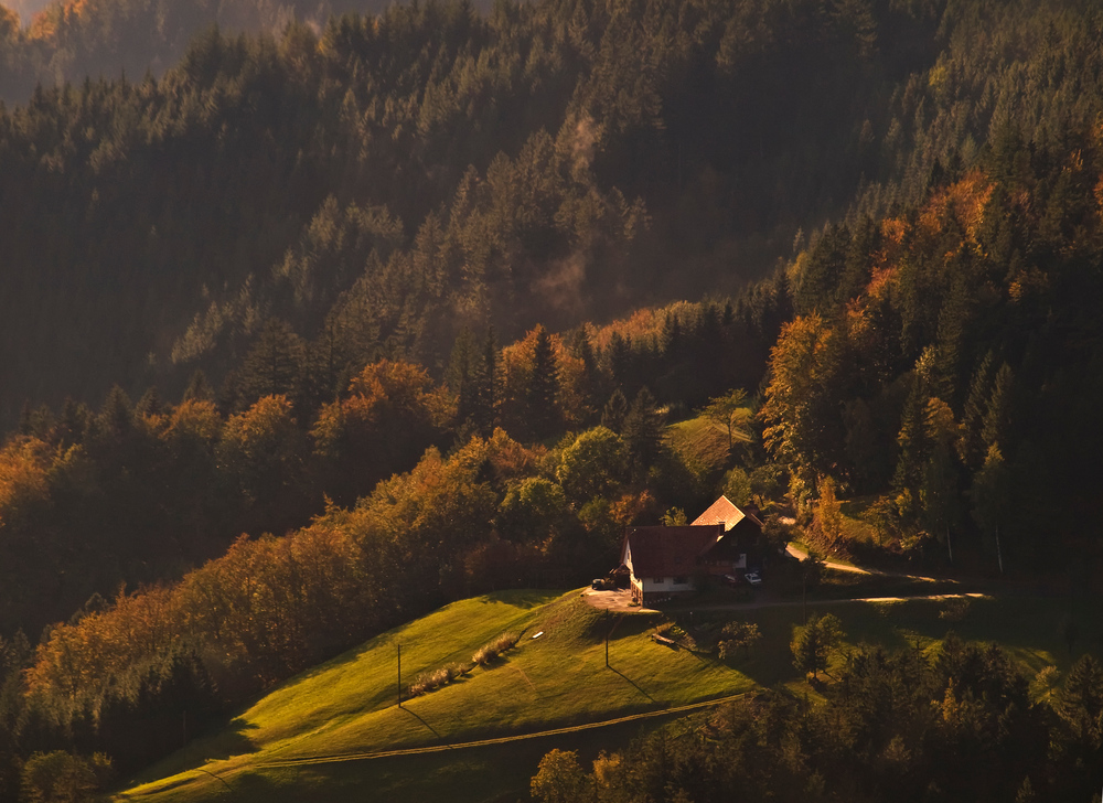 Golden light at Hornbur