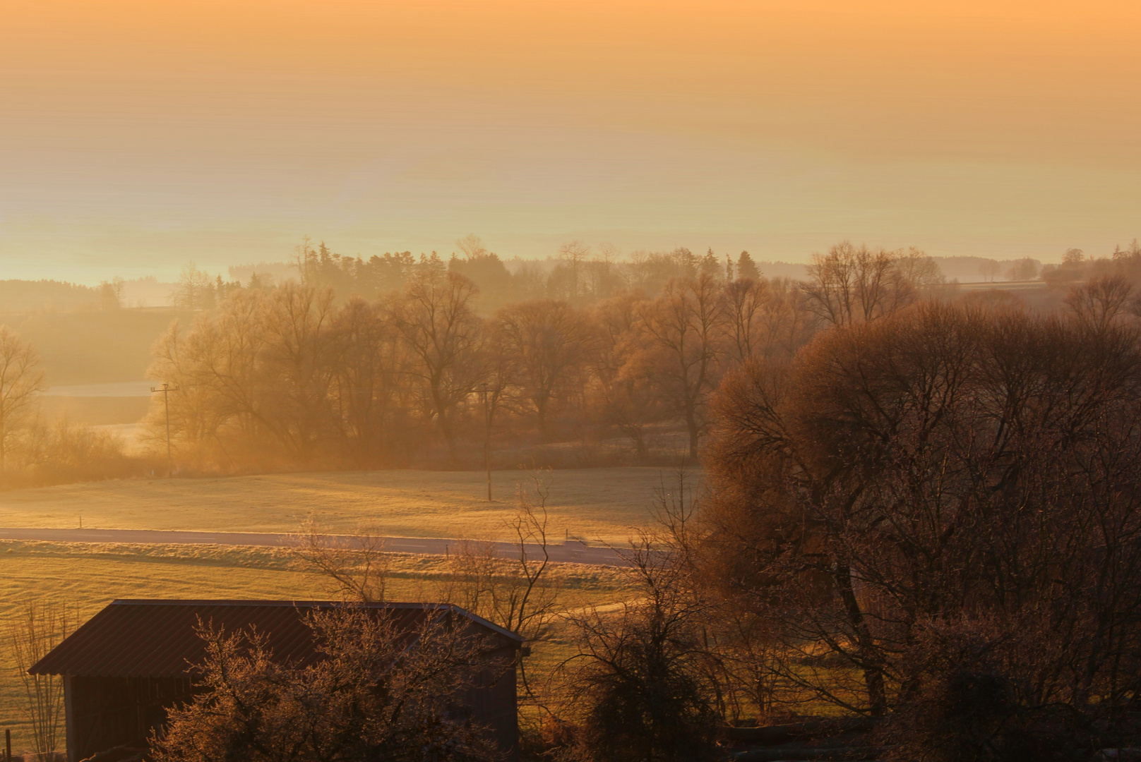 Golden Light