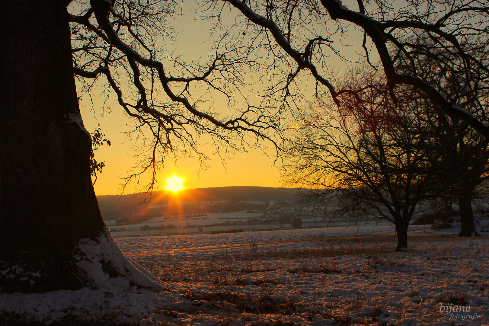 Golden Light