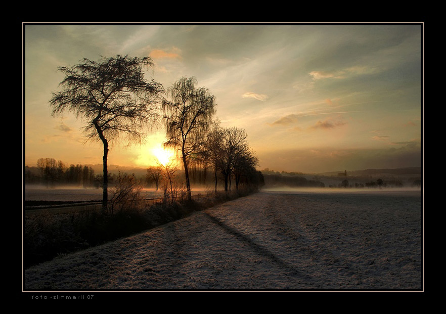 golden light - Surental III