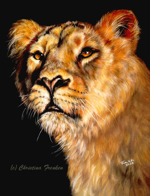 Golden Lioness