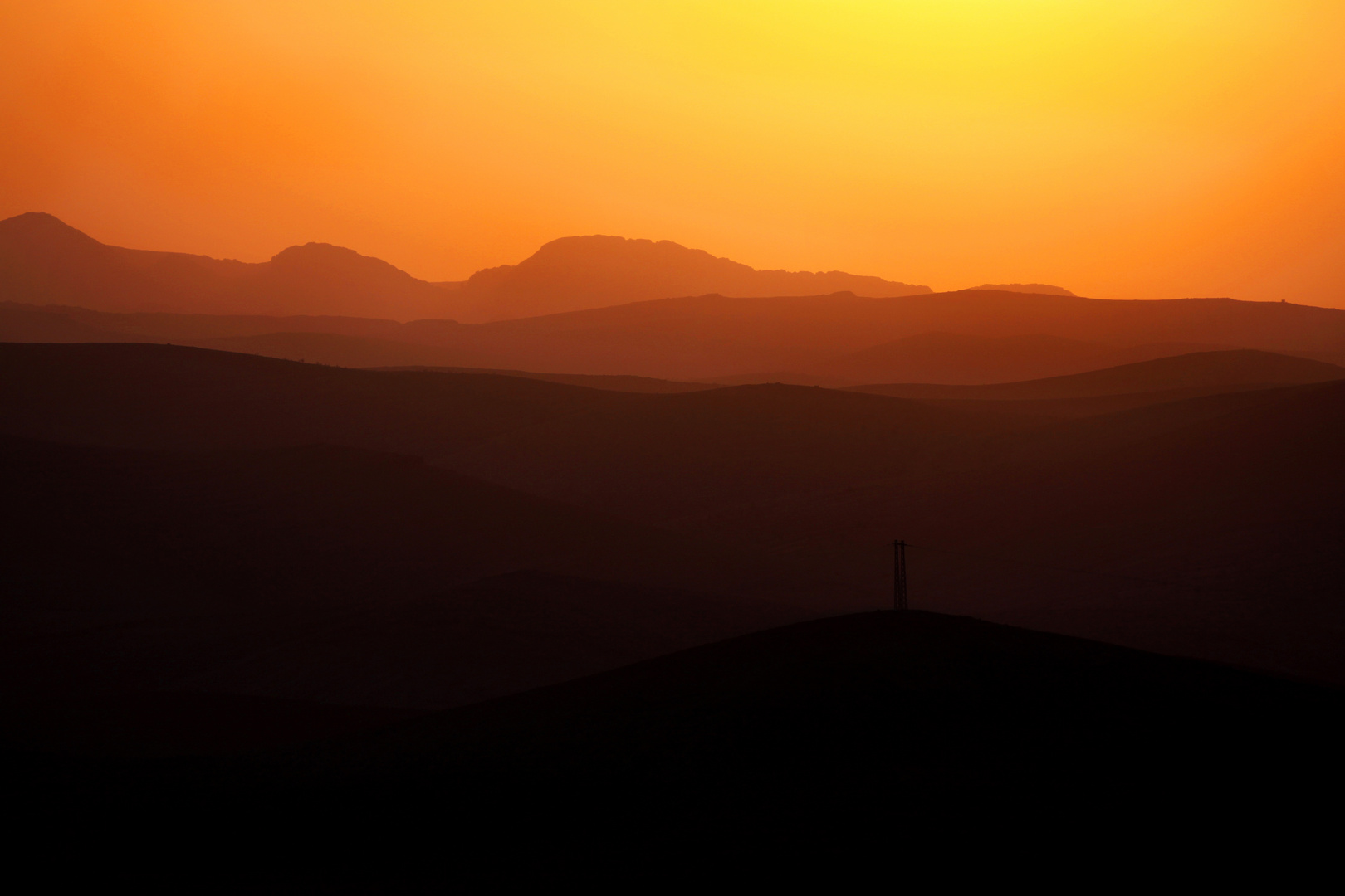 Golden Misty Evening