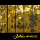 Golden moments...