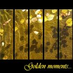 Golden moments...