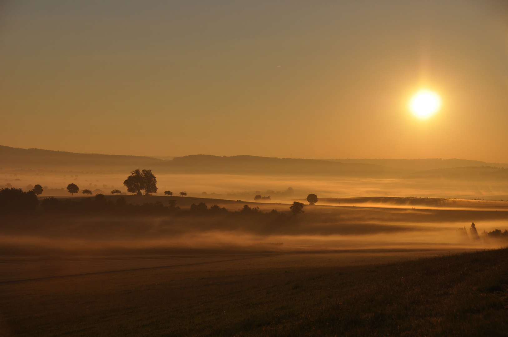 golden morning