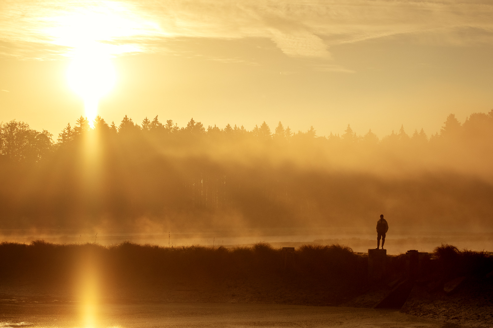 Golden Morning