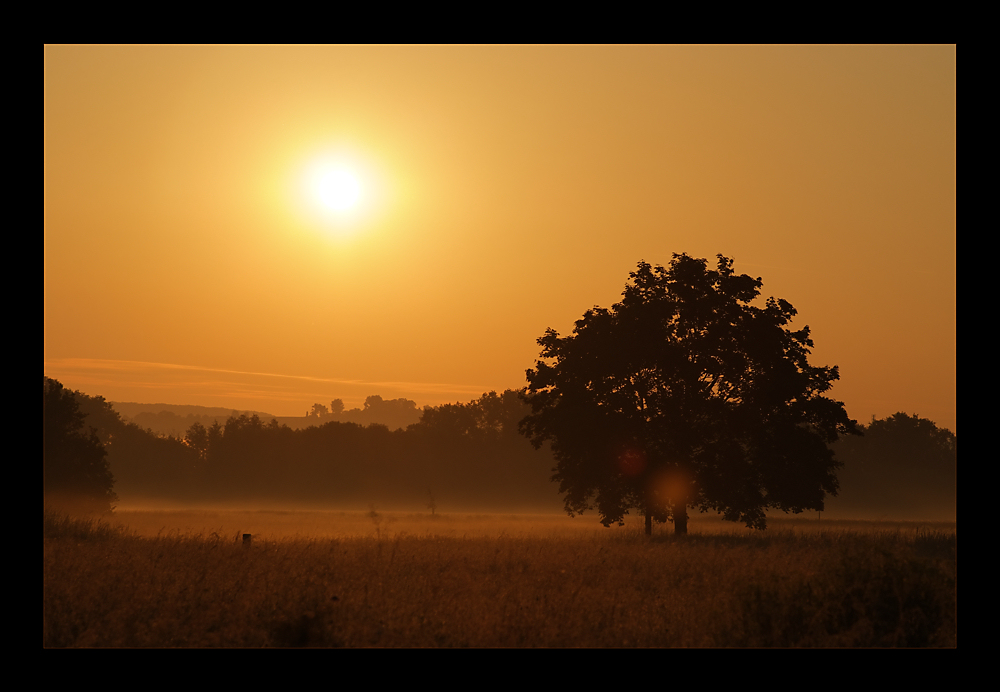 golden morning