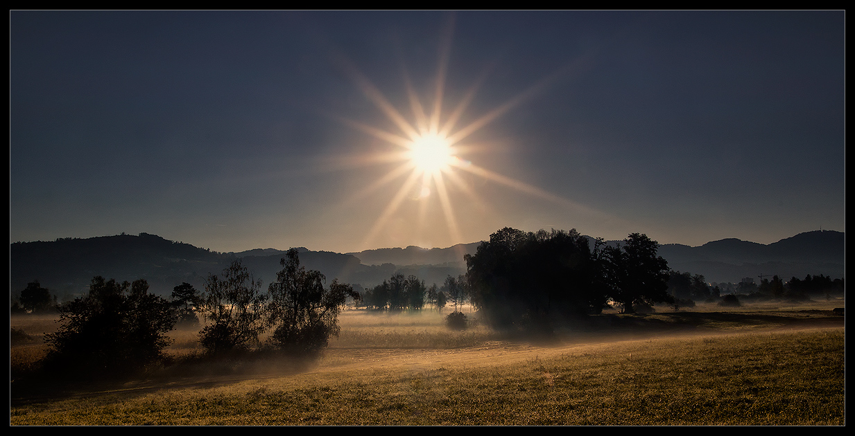 golden morning