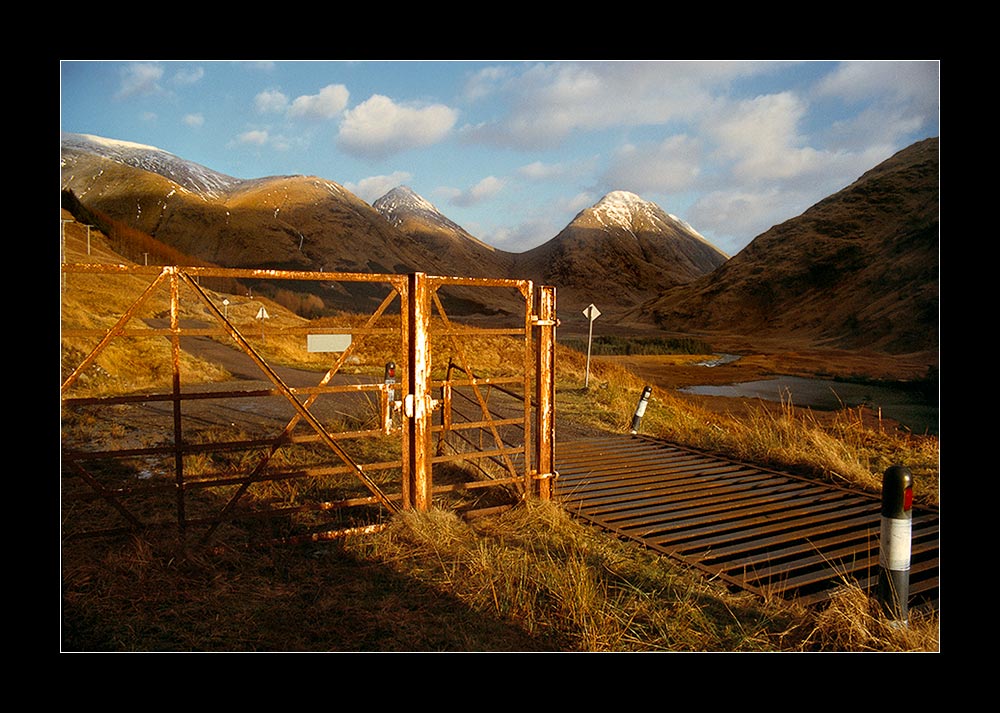 Golden Morning Light (Glen Etive 2)