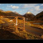 Golden Morning Light (Glen Etive 2)