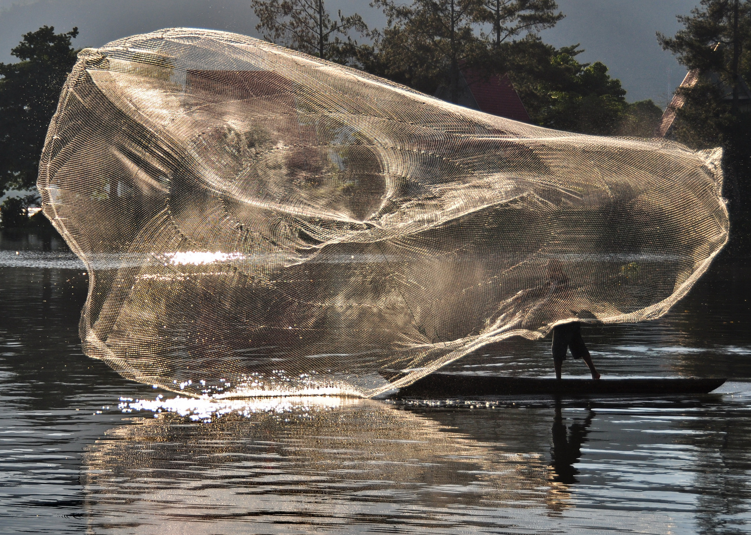 GOLDEN  NET