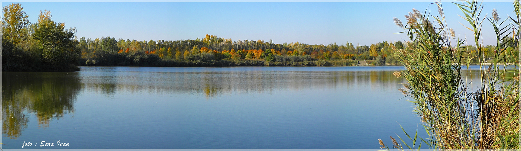 --Golden Oktober neben Stadtsee---