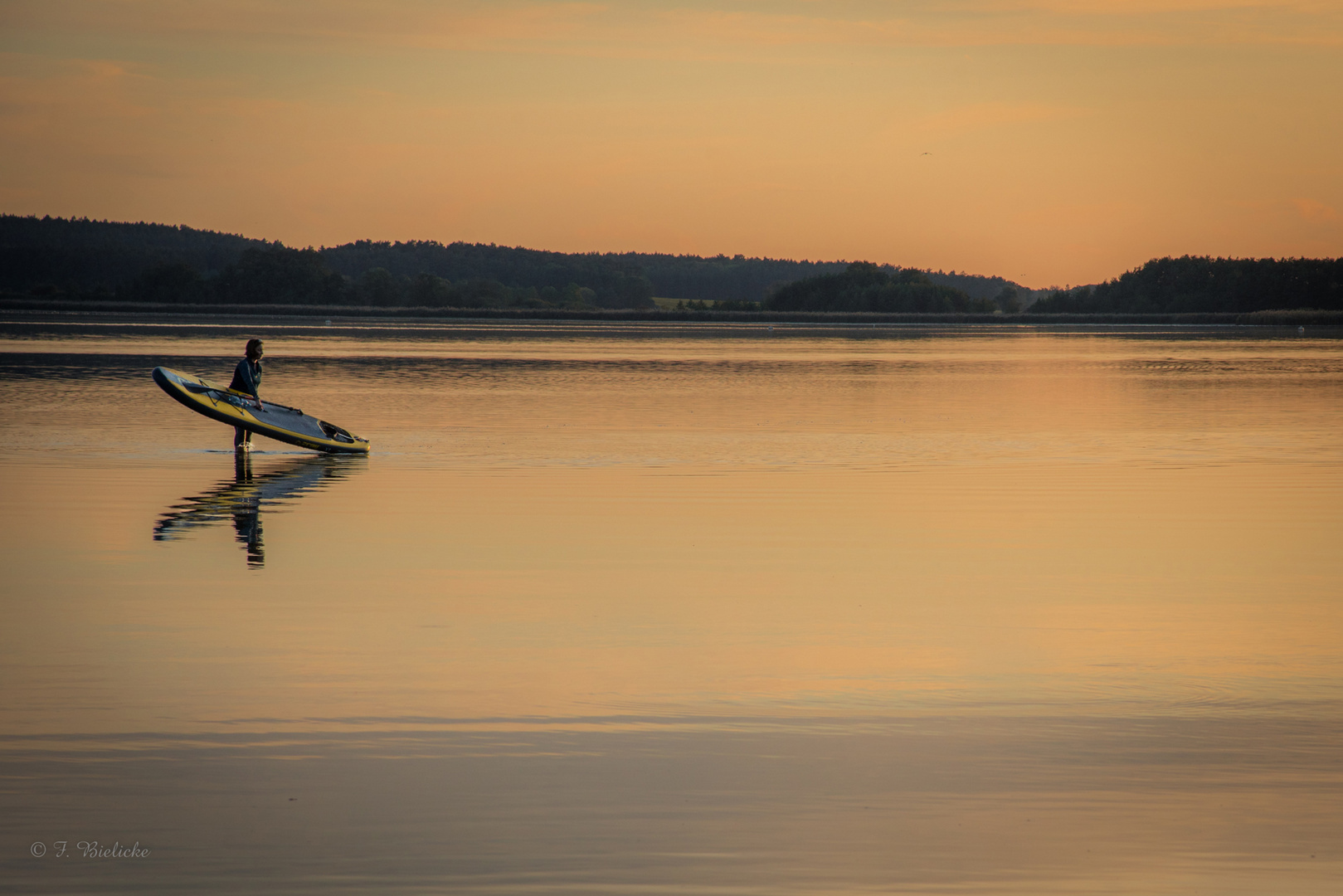 Golden Paddler