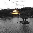 Golden Pavillion - Kyoto