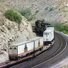 Golden Pig Service Trailer der Southern Pacific stehen auf Flat Cars...