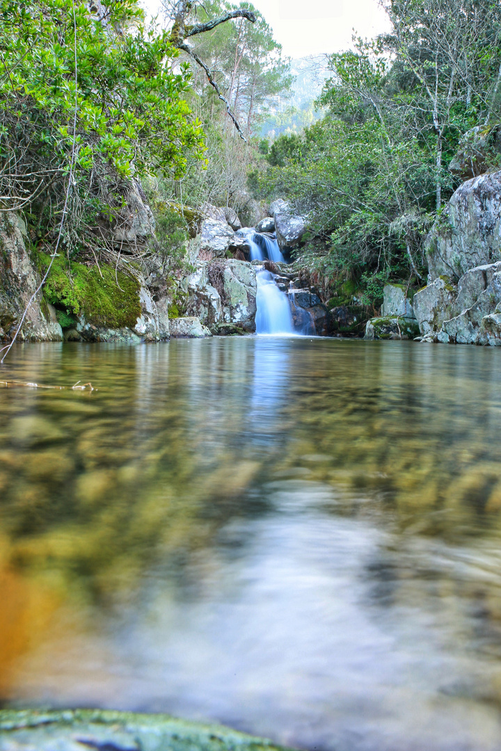 Golden pool