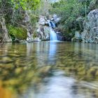 Golden pool