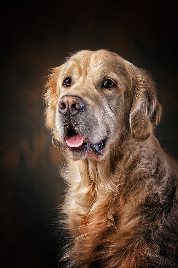 Golden Portrait