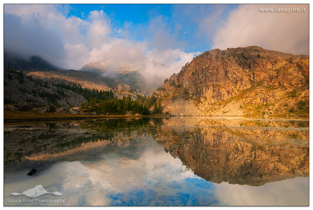 GOLDEN REFLECTIONS