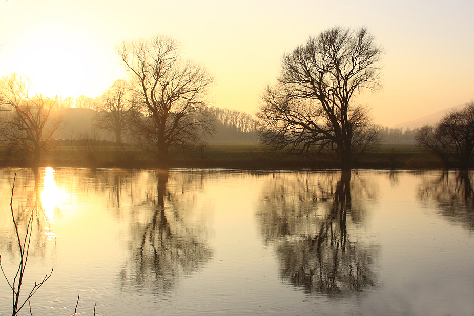 Golden River