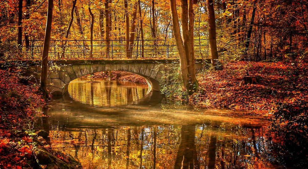 golden river Foto & Bild jahreszeiten, herbst, natur Bilder auf
