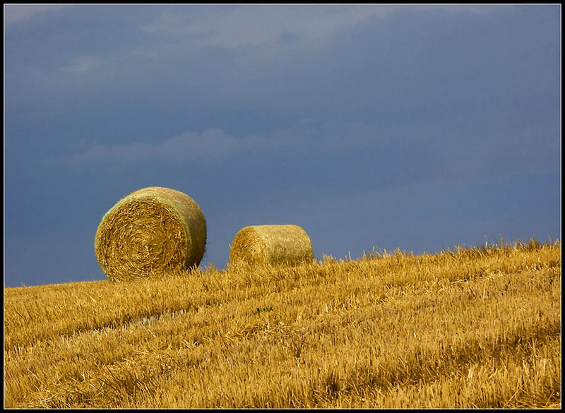 Golden Rolls