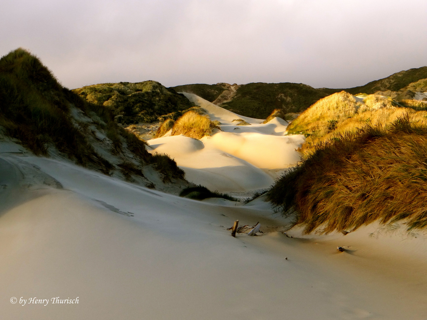 golden sandfly beach