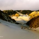 golden sandfly beach