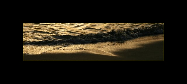 Golden sea