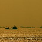 golden sea ..