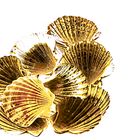 GOLDEN SHELLS