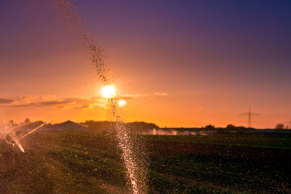 Golden Shower