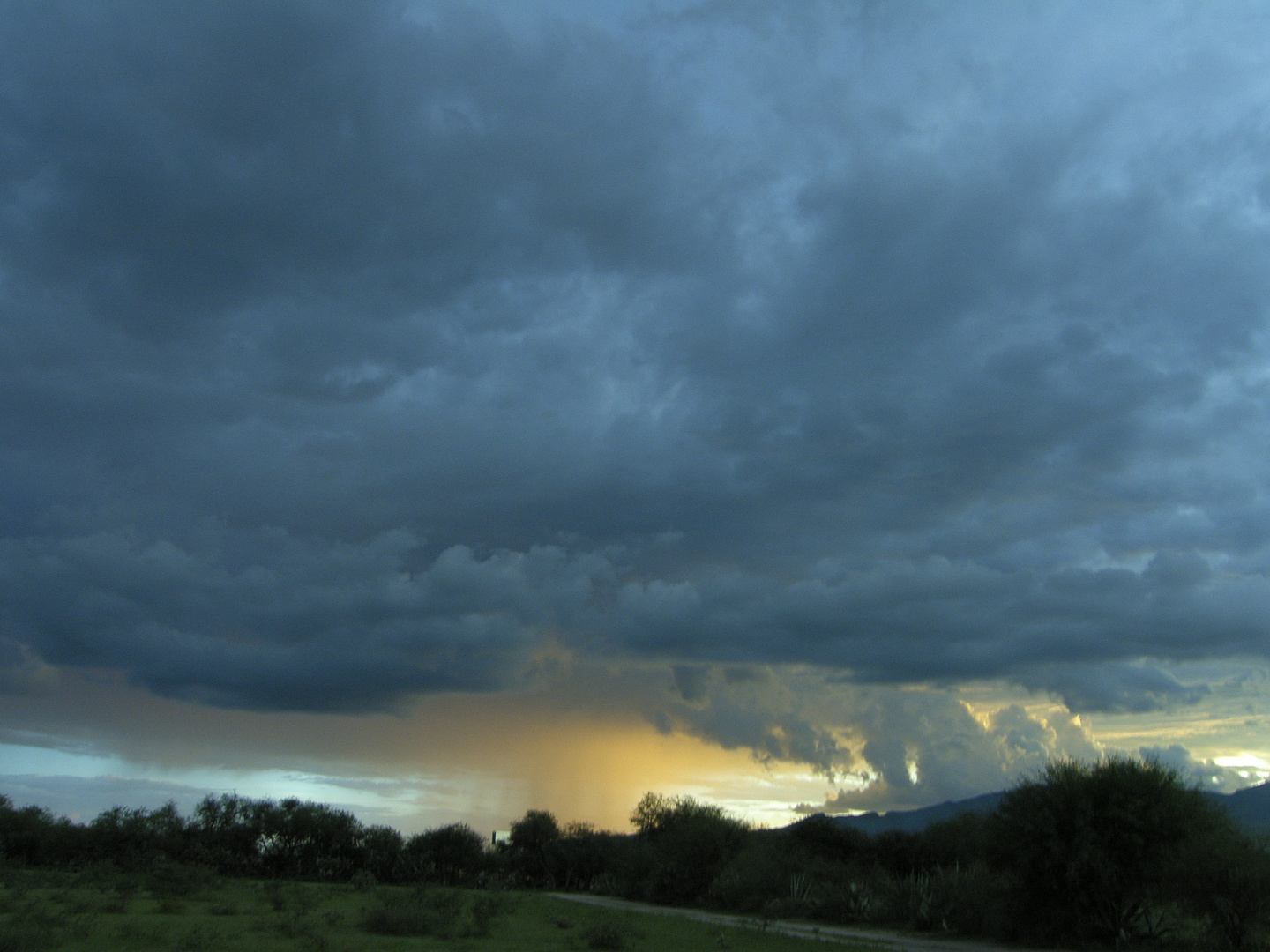 Golden sky or..............heaven???