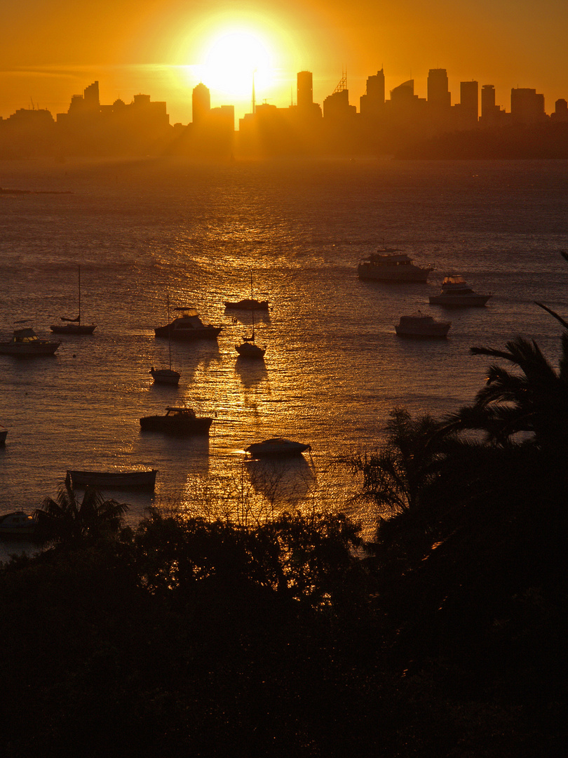 Golden Skyline (Watson Bay)