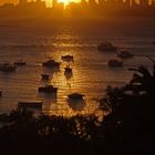 Golden Skyline (Watson Bay)