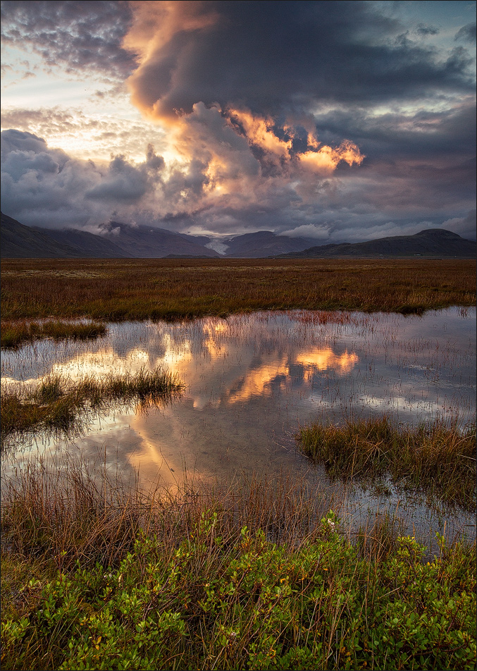 [ _golden summer // Höfn ]